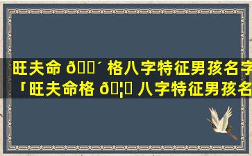 旺夫命 🌴 格八字特征男孩名字「旺夫命格 🦟 八字特征男孩名字怎么取」